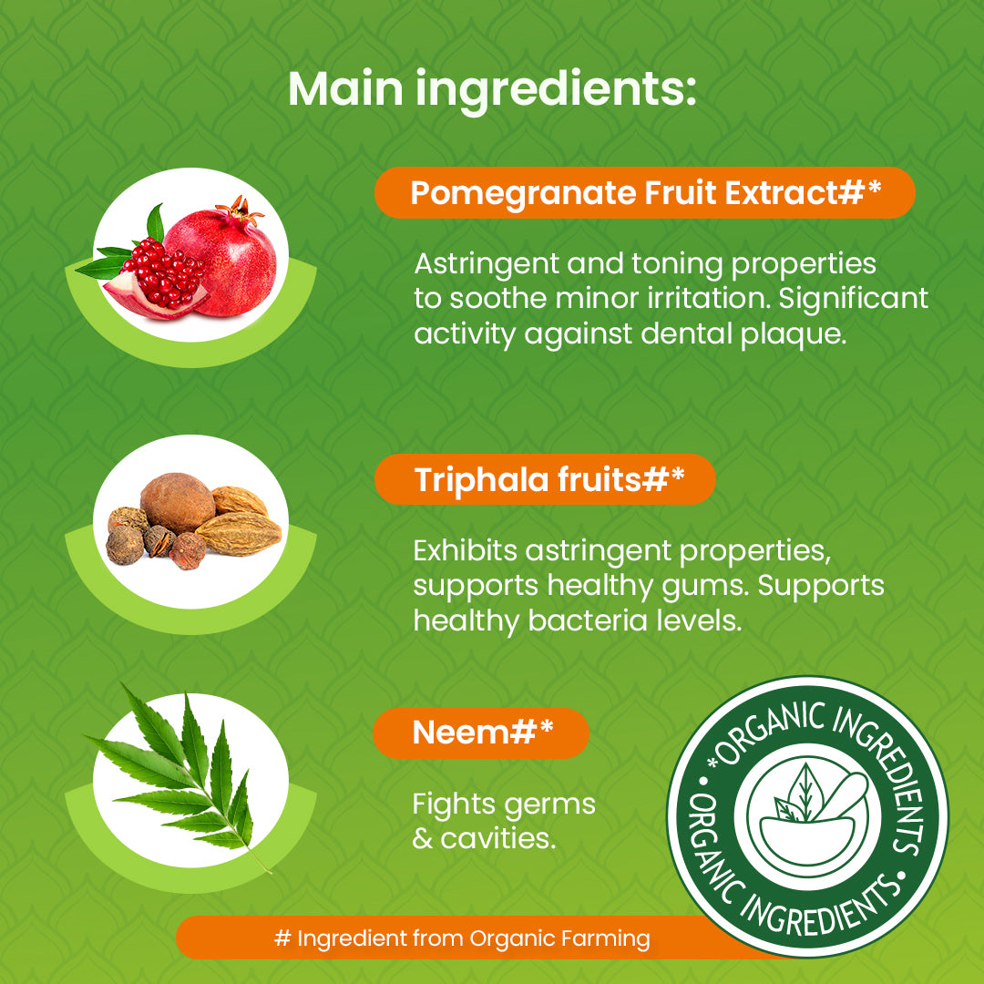 Himalaya Botanique Neem &amp; Granatapfel Zahnpasta 75 ml