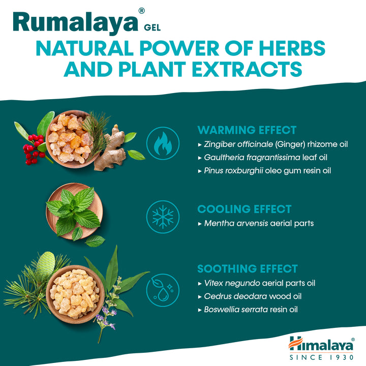 Himalaya Rumalaya żel - 50g