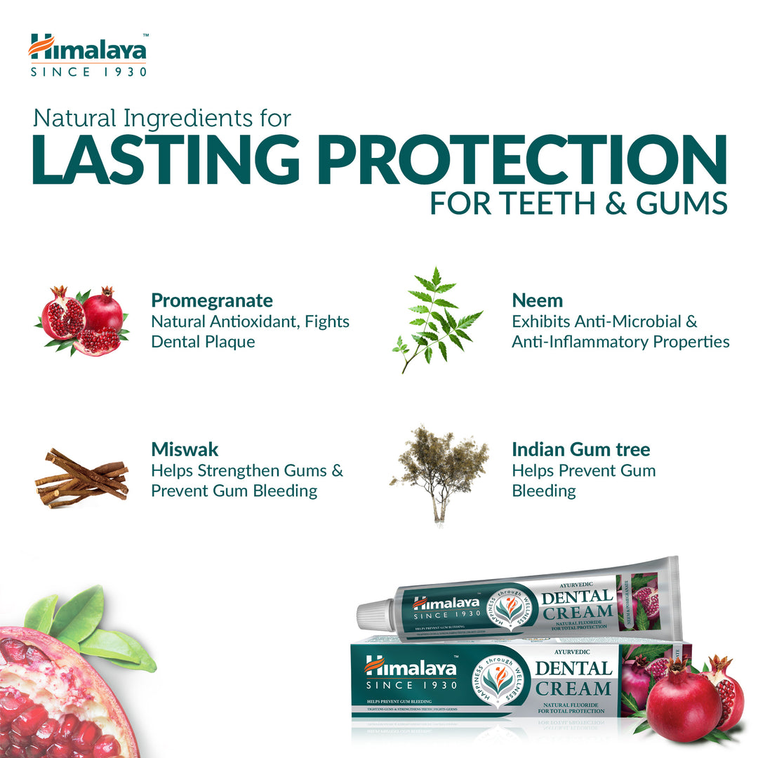 Himalaya Ayurvedische Zahnpasta – Neem &amp; Granatapfel – 100 g