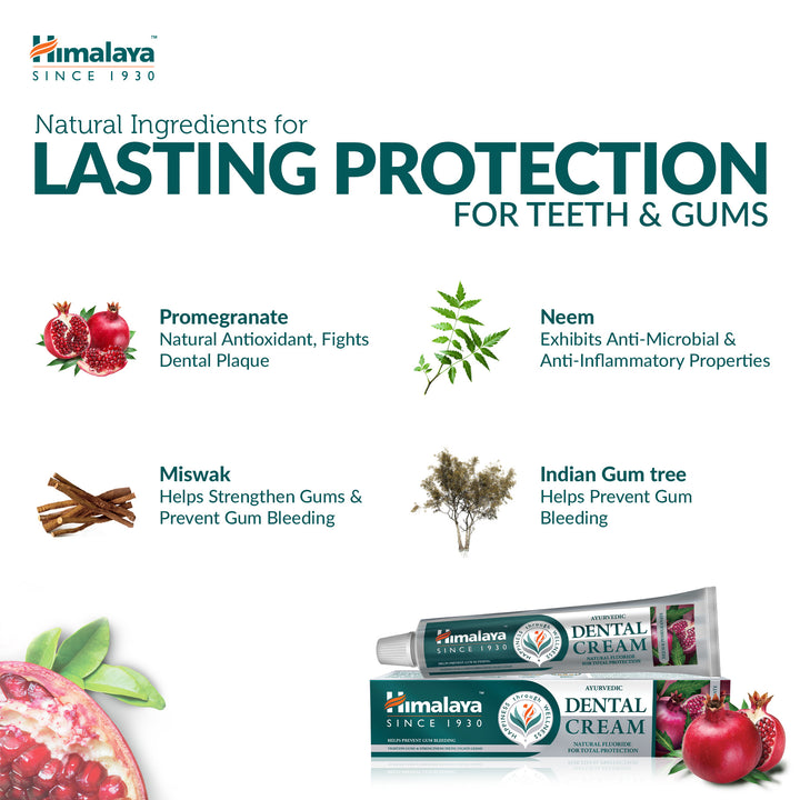Himalaya Ayurvedische Zahnpasta – Neem &amp; Granatapfel – 100 g