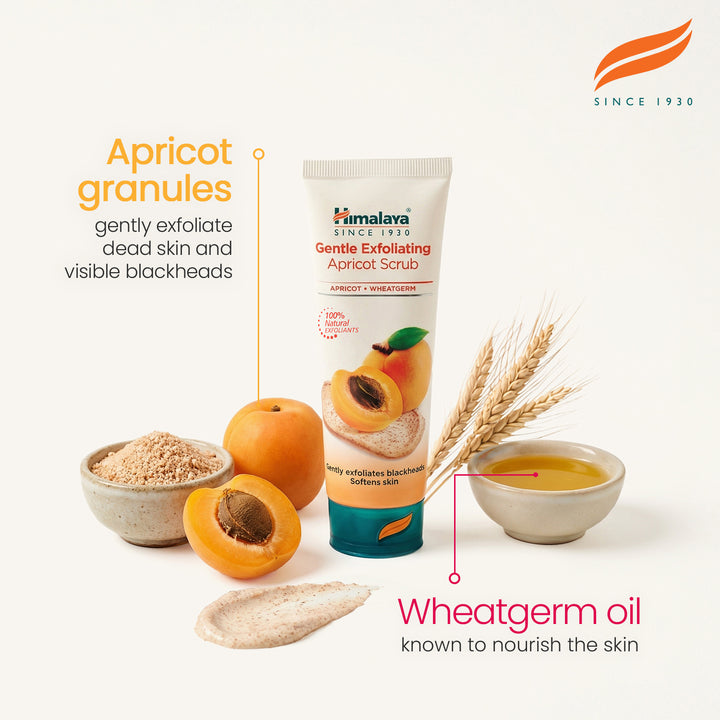 Himalaya Sanftes Peeling Aprikosen-Gesichtspeeling - 75ml
