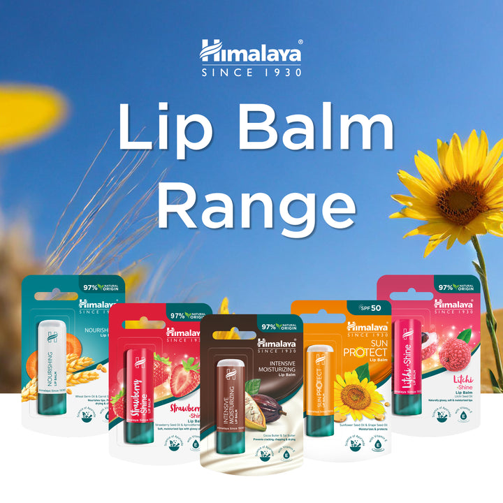 Himalaya Sun Protect Lippenbalsam (LSF 50), 4,5 g