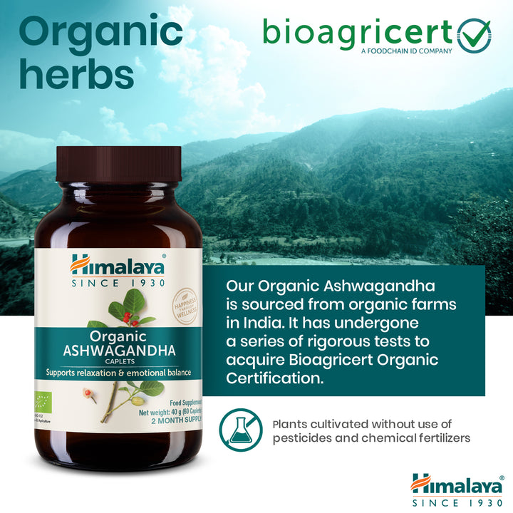 Himalaya Organic Ashwagandha (Żeńszeń Indyjski)
