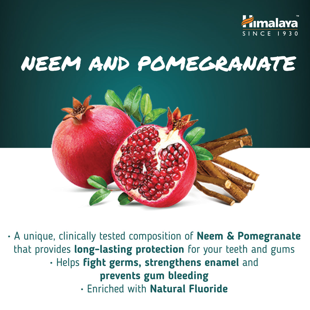 Himalaya Ayurvedische Zahnpasta – Neem &amp; Granatapfel – 100 g
