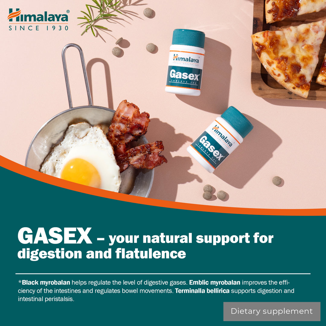 Himalaya Gasex - 100 Tabletten