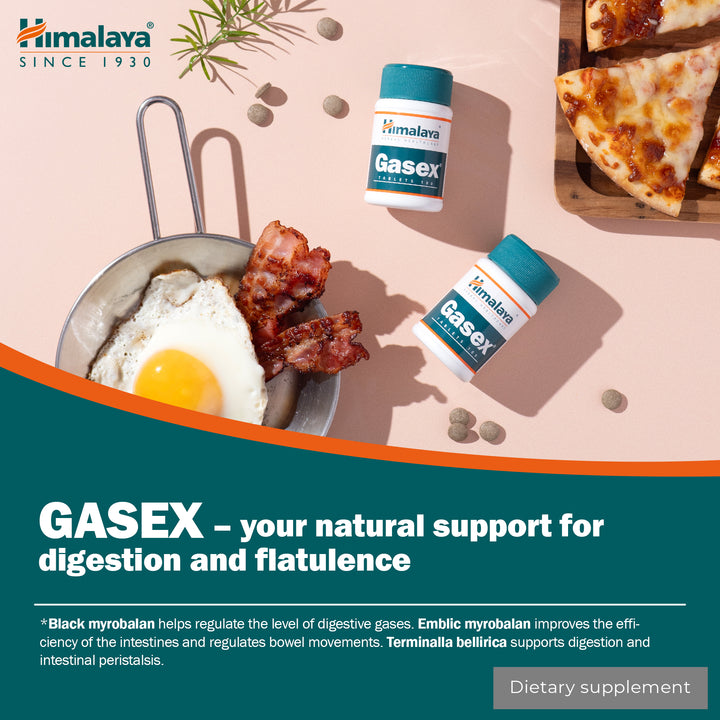 Himalaya Gasex - 100 Tabletten