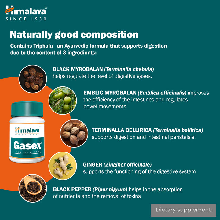Himalaya Gasex - 100 Tabletten